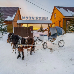 Фото Отель Муза Рузы