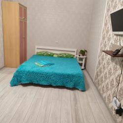 Апартаменты стандарт Партизанская улица, 203