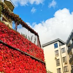 Апартаменты студия Агой, гостиничный комплекс Радуга 10И