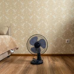 Фото Отель Best House (Бест Хаус) на улице Чехова 43 корпус 1