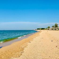 Фото Отель Фламинго
