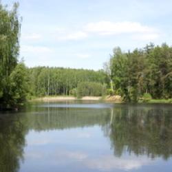 Фото Отель Рождественские пруды