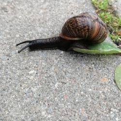 Фото Отель Гостевой дом Окулова Заимка