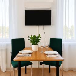 1-комнатные апартаменты студия Солнечная без балкона (мансарда)