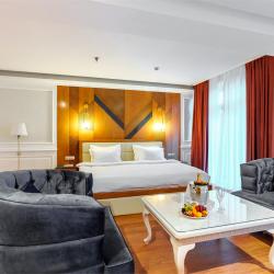 Номер люкс с 1 двуспальной кроватью