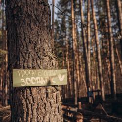 Фото Отель Деревня Берендеевка