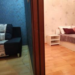 Фото Апартаменты на улице Белинского 149