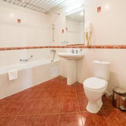 Номер делюкс улучшенный (мансарда)