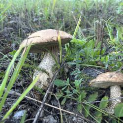 Фото Отель Гостевой дом Брейтово