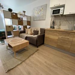 Фото Апартаменты «Сканди»