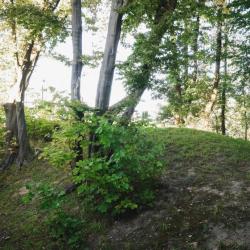 Фото Отель Круиз
