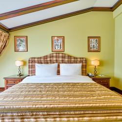 Номер делюкс с 1 двуспальной кроватью (мансарда)