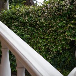 Фото Отель Орион