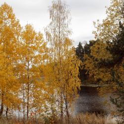 Фото Отель Ямилахти