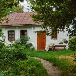 Фото Отель Усадьба Скорняково-Архангельское