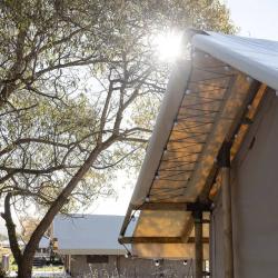 Фото Отель Носороги