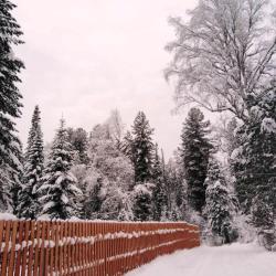 Фото Отель Куатанг