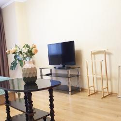 1-комнатные апартаменты улучшенные Самара, ул. Советской армии, 238А