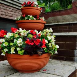 Фото Отель Медведь