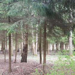 Фото Отель Дилижанс