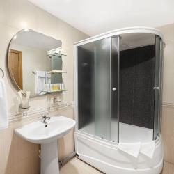 Номер полулюкс с 1 двуспальной кроватью