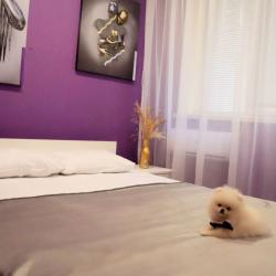 Фото Отель Амо Теамо на Навагинской