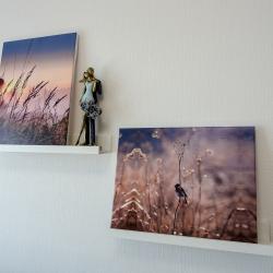 Фото Отель Гости на улице Триллиссера