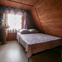 фото 7 Чайка