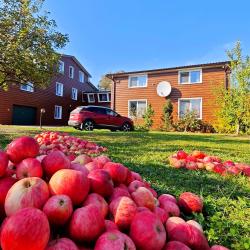 Фото Эко-отель Муражье