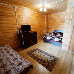 Номер стандарт семейный с 1 двуспальной кроватью