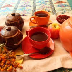 Фото Отель Русская Дача