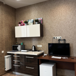 Апартаменты студия Масленикова 82 (4/2)