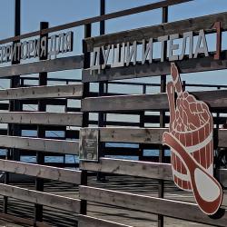 Фото Отель Дивный