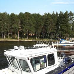 Фото Отель Коттедж Солнечный