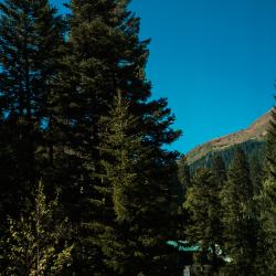 Фото Отель Dombay Winter Hall (Винтер Холл)