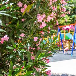 Фото Отель LaMare (ЛаМаре) на улице Санаторная 48