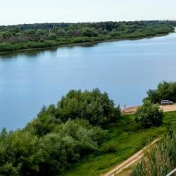 4-местная комната стандарт