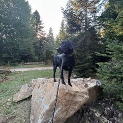 Фото Отель Тайна Гор