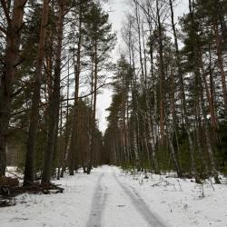 Фото Отель Дом с баней Речная Заимка