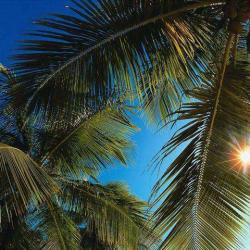 Фото Отель Эрика