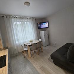 Апартаменты стандарт улица Зелёный Бульвар, 19