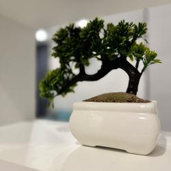 1-комнатные апартаменты улучшенные