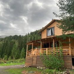 Коттедж стандарт Дом Петровича