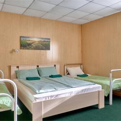 Фото Отель Гостевой дом Зеленый