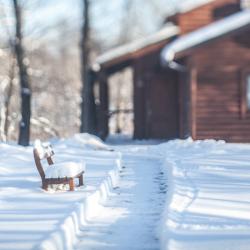 Фото Отель Дубровский парк-клуб