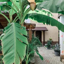 Фото Отель Provence (Прованс)