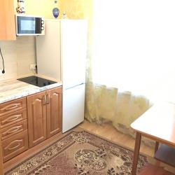 Фото Апартаменты на проспекте 100-летия а