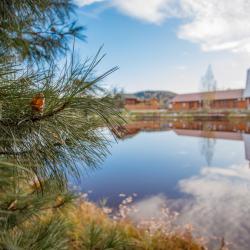 Фото Отель Озерки