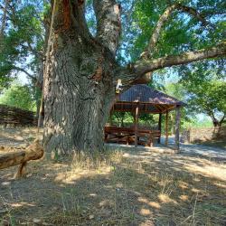 Фото Отель Беной Тревел Озеро