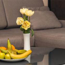 Фото Отель Дачи